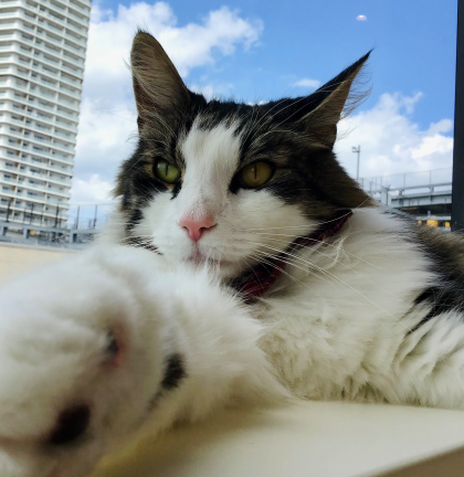 お鼻に、、、👀