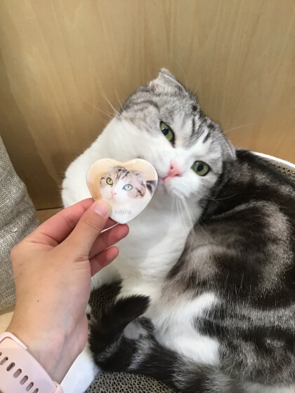 缶バッジのスペシャルが新しくなりました❣️