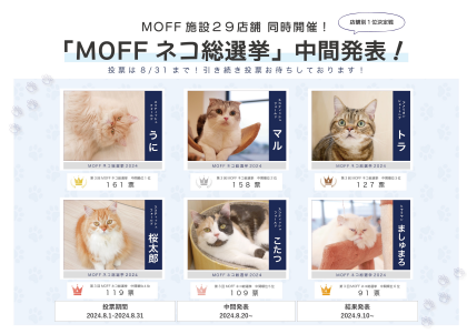 🐈MOFF ネコ総選挙　中間発表🐱