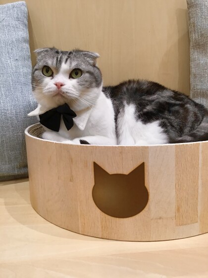 まるくんお誕生日おめでとう🥳