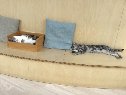 リラックス中…🍀