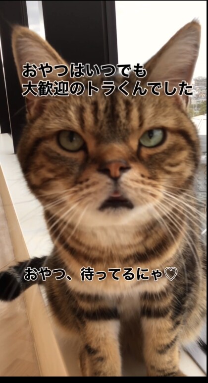 食欲の秋🍂🍠