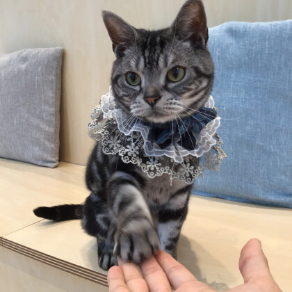 お誕生日おめでとう🎉