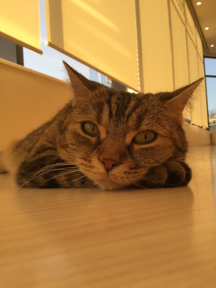 落ちているのは?