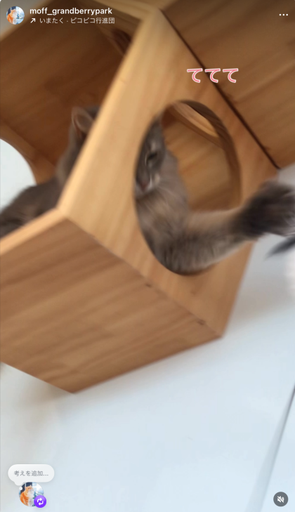 いつでも全力　そらりちゃん