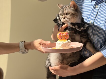 4月18日のお誕生日会の様子🎂