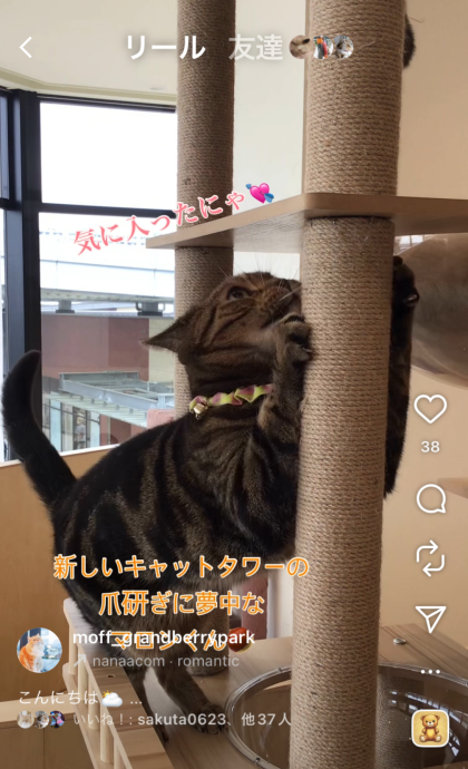 夢中で
