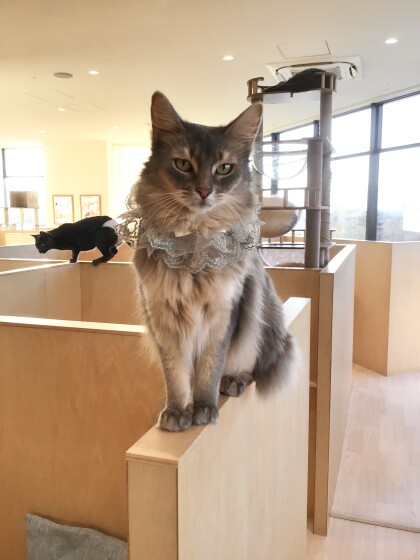 そらりちゃんおめでとう🎉