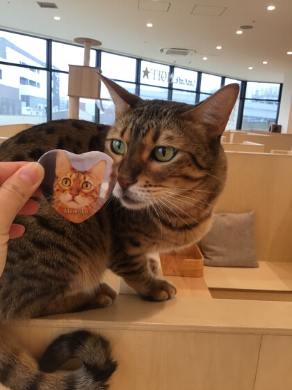 SP缶バッチリニューアル！