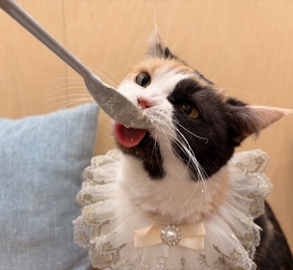 お誕生日会の様子🎉