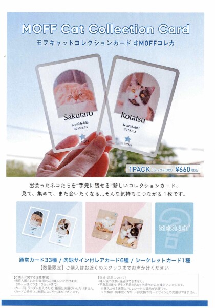 【MOFFコレクションカード再販のお知らせ📣】
