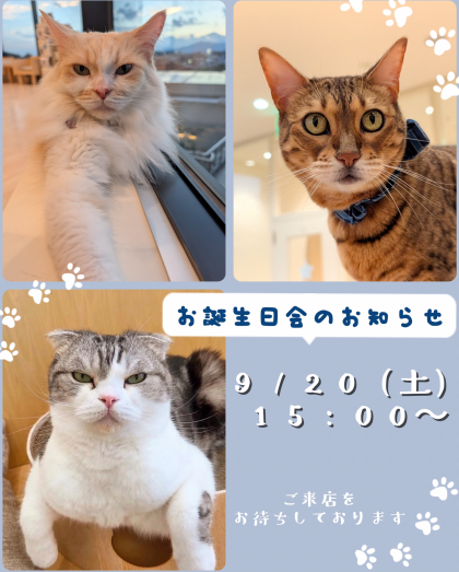 お誕生日会のお知らせ📢