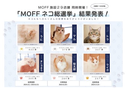 🐈MOFFネコ総選挙　予選結果発表✨