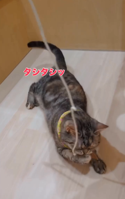 実は俊敏です💨