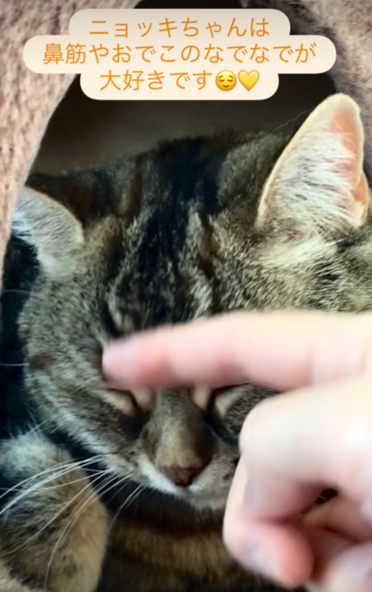 初めはご挨拶から、、💛