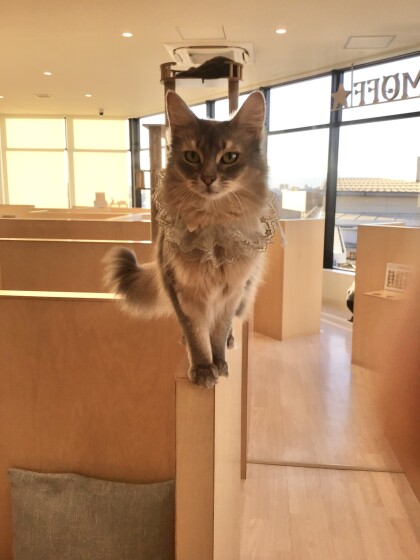 そらりちゃんおめでとう🎉