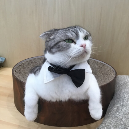 モッフモフ💓