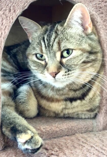 初めはご挨拶から、、💛