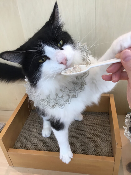 12月のお誕生日会🎂