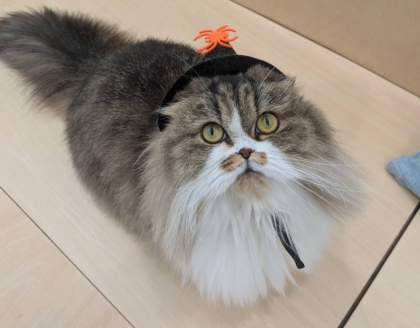 happy Halloween🎃