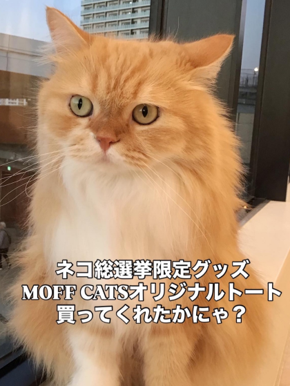 限定オリジナルトートバッグ販売中！