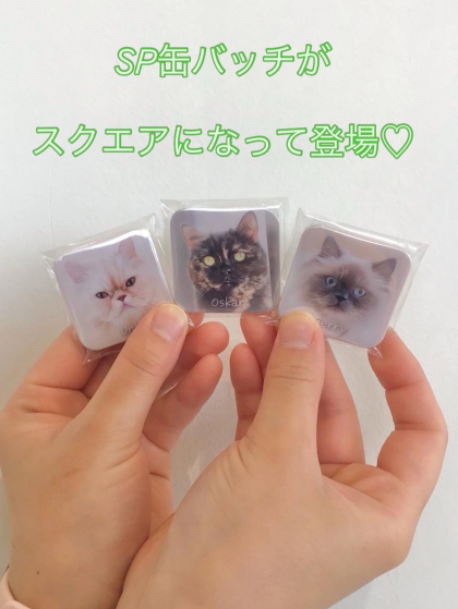 🐱缶バッチSPが新しくなりました✨