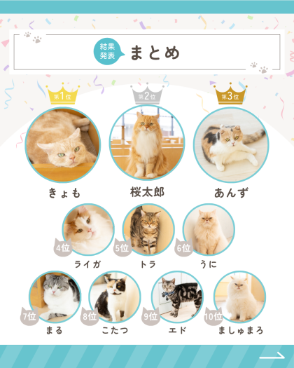 🗳️ネコ総選挙予選の結果✨🐈⬛
