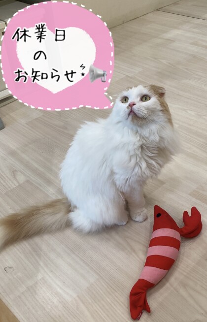 8月20日のお知らせ