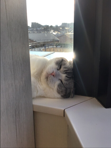 チラリ