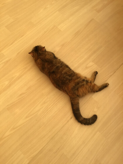 落ちているのは?