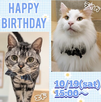 お誕生日会のお知らせ🎂