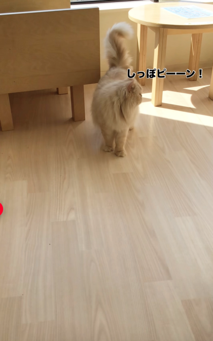 るんるん♪うに君