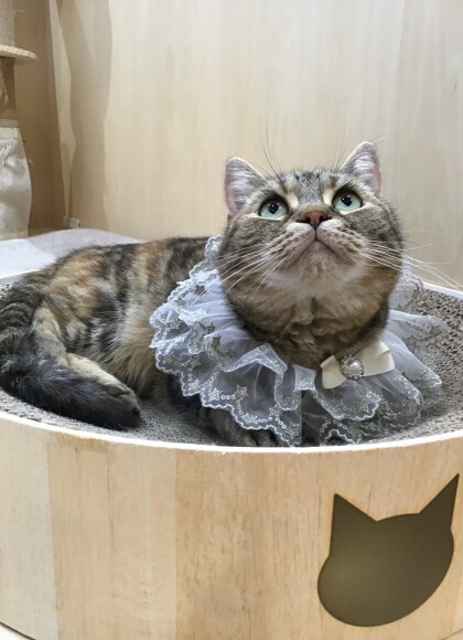 お誕生日おめでとう🥳