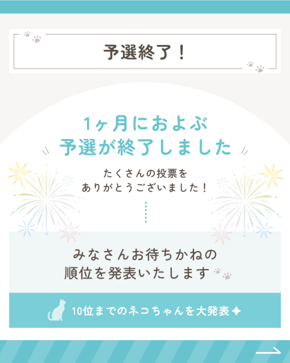 🗳️ネコ総選挙予選の結果✨🐈⬛