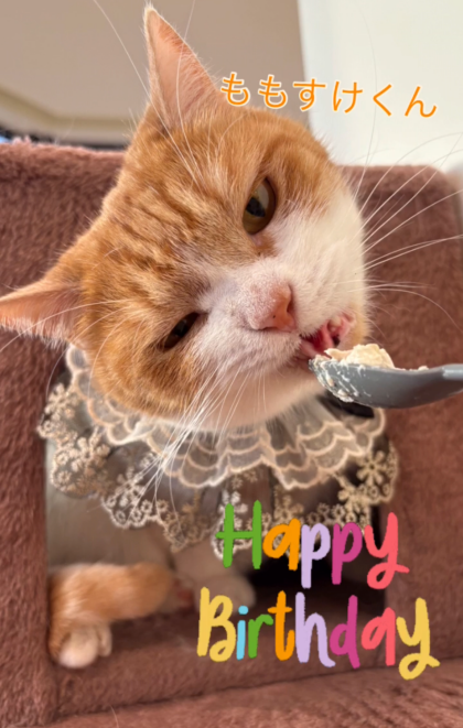 5月のお誕生日会🎂