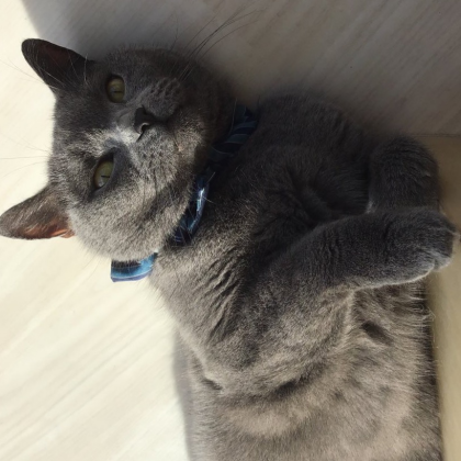 ポカポカひなたぼっこ💖