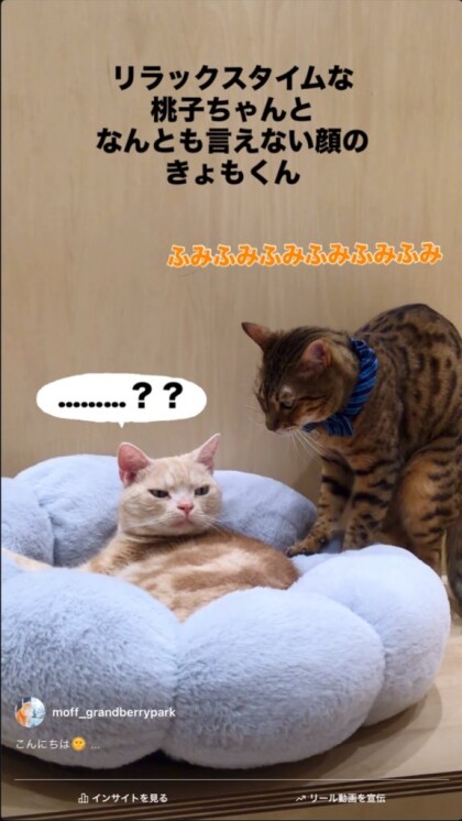 2人ともリラックス？