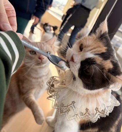 お誕生日会の様子🎉