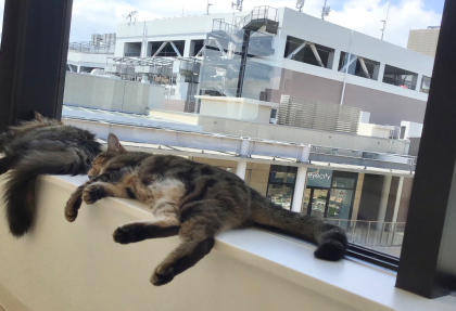 お天気最高☀️
