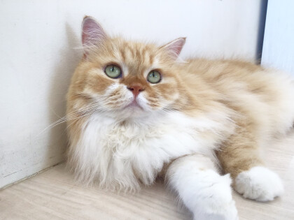 途中経過一位🥇