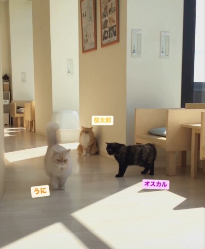 会議中、、😼
