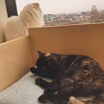 景色も堪能中です🧡