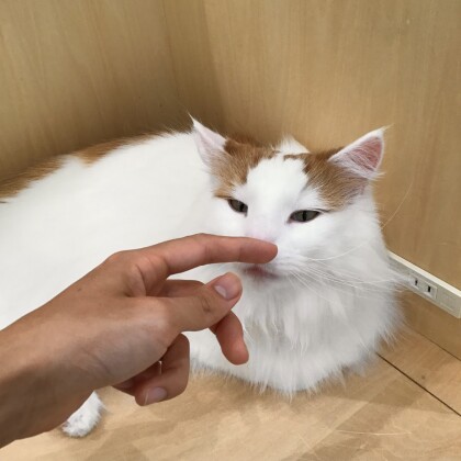 食いしん坊のライガくん💞