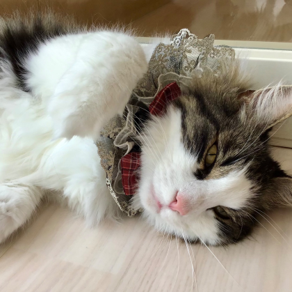 本日のお誕生日は、、、🎂