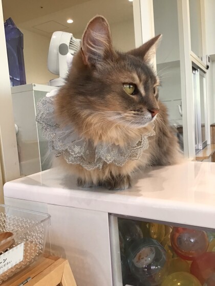 そらりちゃんおめでとう🎉