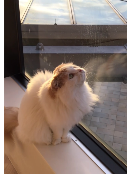 気になるものは