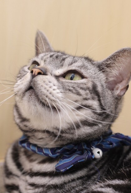 キラキラお目目の先のは✨