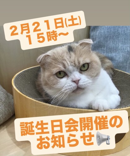 お誕生日会開催のお知らせ💞