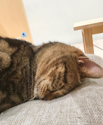 ごめん寝中、、、💤