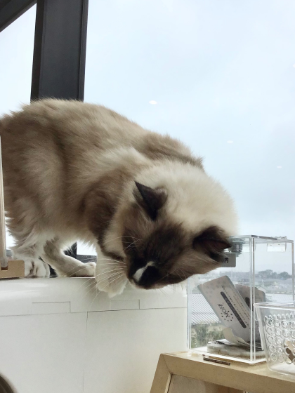 甘え上手🎀